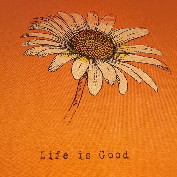 ~BUNDLED~ - Picture 2 of 8